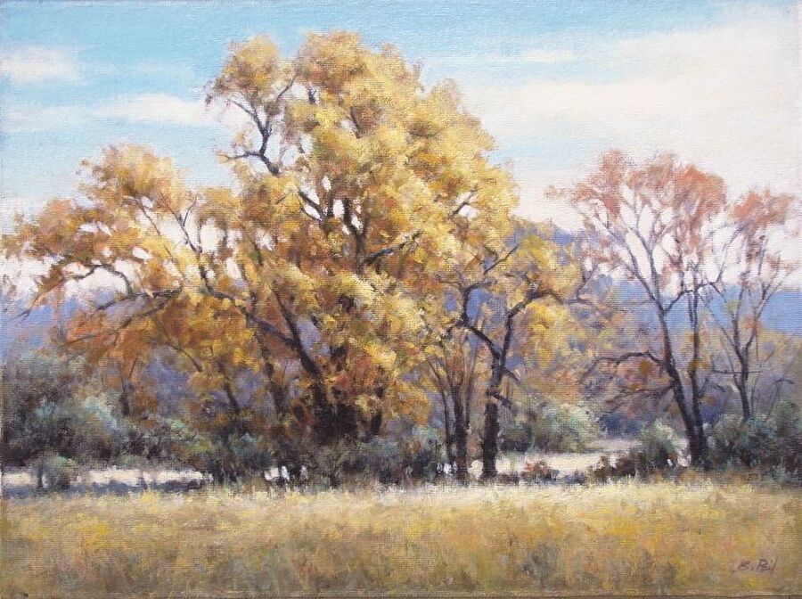 Weather Worn by Bruce Peil Oil ~ 12 x 16